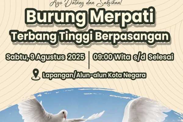 Ayo Datang Saksikan Burung Merpati Terbang Tinggi Berpasangan!