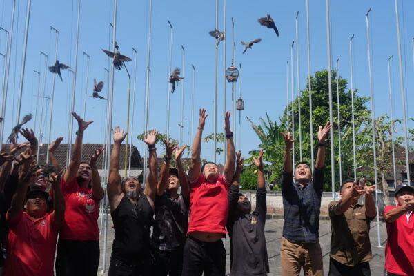 Lomba Burung Perkutut Gacoran
